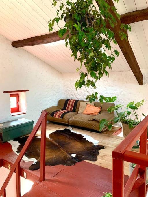Bergerie Geldi Leku Villa Saint-Jean-le-Vieux  Exterior foto